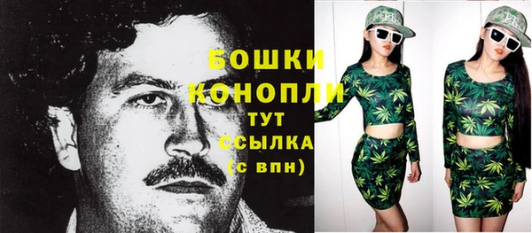 прущие крисы Тавда