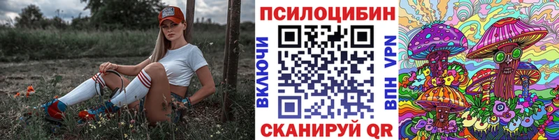 Купить закладки Олёкминск Галлюциногенные грибы Magic Shrooms